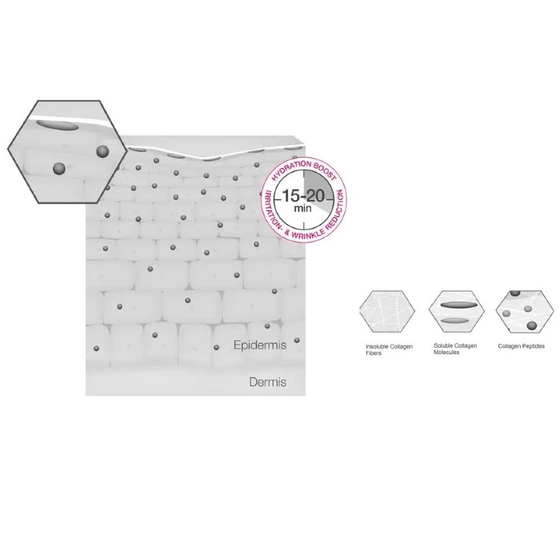 Increase in Skin’s long-term Moisture-Binding Capacity